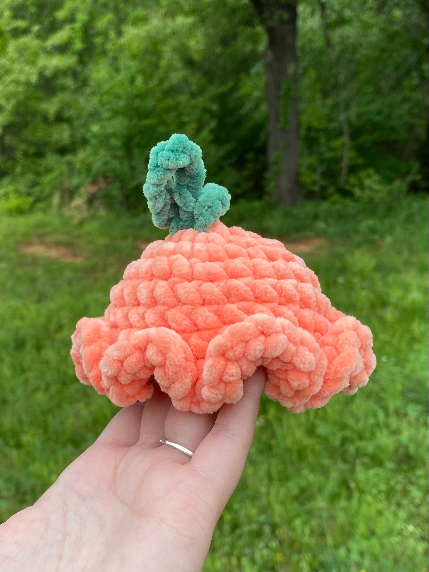 Duck with Removable Carrot Hat Crochet Plushie